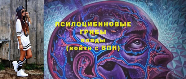 ешки Алексин