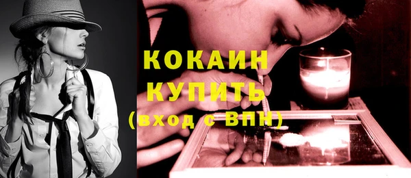 ешки Алексин
